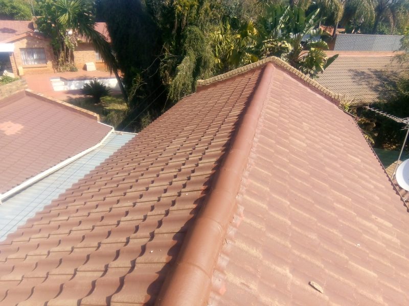 Rabbit Construction Company