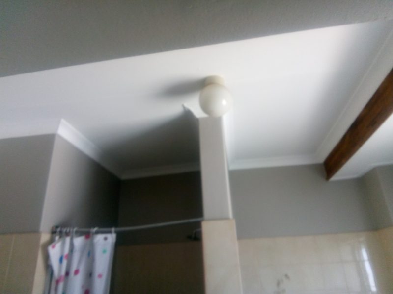 Rabbit Construction Company