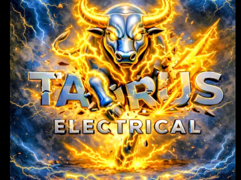 Mr Clint Furst is the Experienced Electrician