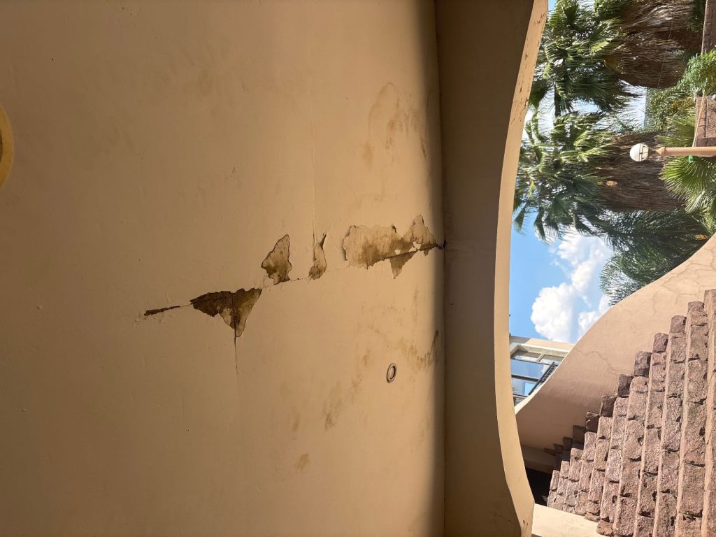Marina needs a Pro to repair a Roof in Johannesburg