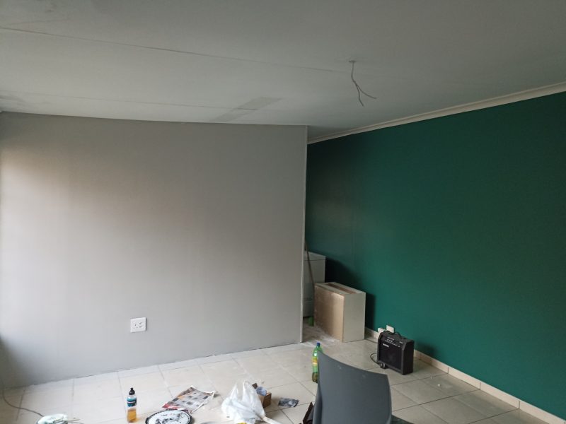 Do you need a Professional Painter